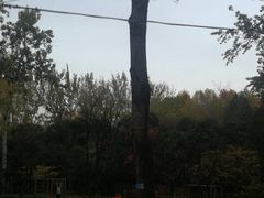 -西安市长乐公园