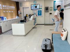 -美联众合动物医院·24h京西诊疗中心