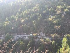 -府君山公园