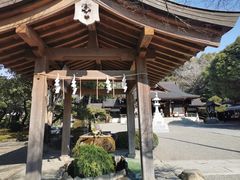 -水前寺成趣园