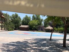 -南宫五洲植物乐园