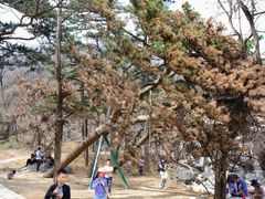 -阳台山自然风景区