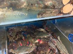 -宾朋海鲜特色美食餐厅·纯手工鲅鱼水饺(兴海路店)