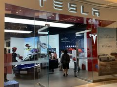 -TESLA 特斯拉(郑州正弘城体验店)