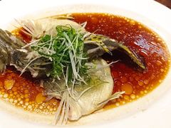 -稻香酒家·33年老字号·港式粤菜(富邦中心店)