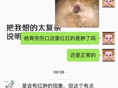 -伟伟宠物医院·CT影像中心·瑞派犬猫综合性门诊(汉口总院)