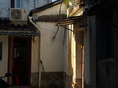 -阊门姚记豆浆(总店)