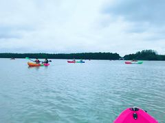 -上海海湾国家森林公园