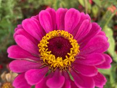 -迪茵湖田家舍生态农场