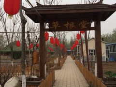 -草根堂农场
