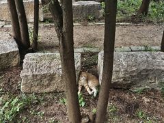 -四门塔风景区