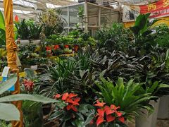 -秦美花卉(天朗·莱茵小城2期店)