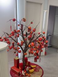 -SKIN79皮肤管理中心