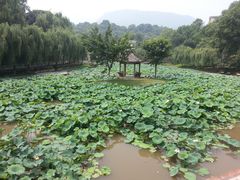 -西南交通大学(峨眉校区)