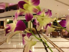 IMG_3700-三亚亚龙湾金棕榈度假酒店