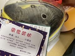 -瑞派宠物医院·内科·软组织·绝育中心(沈阳八纬路分院)