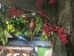 -草原塞蛮羊火锅城(港湾店)