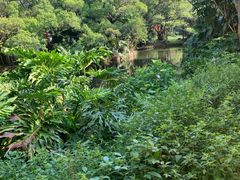 -人民公园(罗湖区)