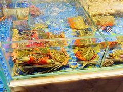 水产区-金海华·悦食东方(苏州中心商场店)