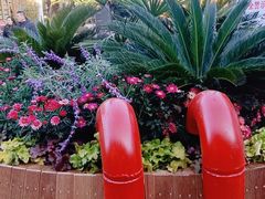 -木王宴语·野生鲜菌火锅(玉河店)