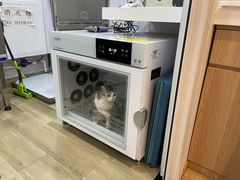 -佐罗家宠物馆·猫文化馆(紫霞路店)