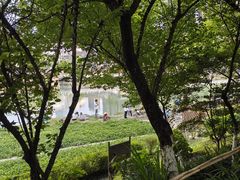 -望江楼公园