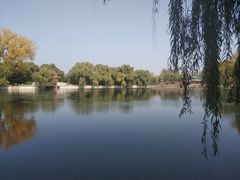-百脉泉景区