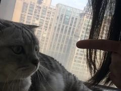 -Catmate·猫肥家润(金润铂宫店)