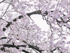 -红星桥(地铁站)