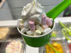 -Salud撒露欧洲冻酸奶(蓝色港湾店)