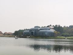 -大塘金香草谷