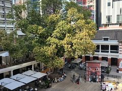 -大馆(前中区警署建築群)