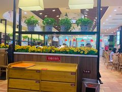 -顺旺基·中式快餐(凯德广场新南店)