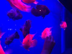 -柒Lounge(三里屯店)