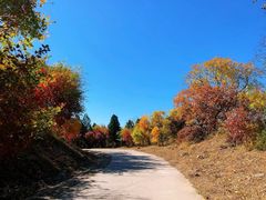 -北京西山国家森林公园