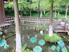-铭莲·八卦田水上餐厅