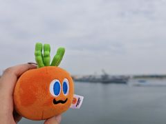 -泰达航母主题公园