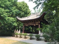 -汇龙潭