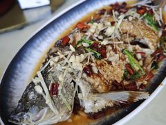 -崂山水果园农家宴(泉水鸡店)