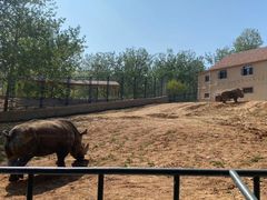 -大连森林动物园