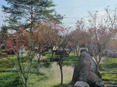 -广州市帽峰山景区