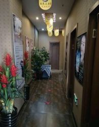 -归真美学颜究中心