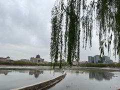 -莲花池公园