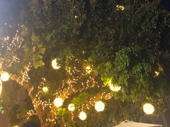 -泰堤坊(淡水体育馆店)