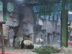 -栾川竹海野生动物园