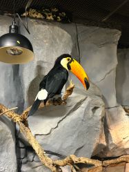 -Zoolung Zoolung动物主题公园(海信广场店)