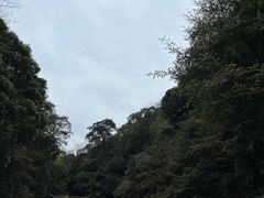 -碧峰峡风景区