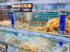 -鲜鲜·鲅鱼圈海鲜(于洪店)