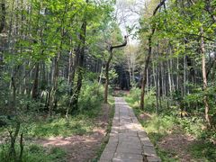 -青龙山国家森林公园