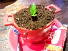 android_upload_pic-MIKAKU(万达广场上海宝山店)